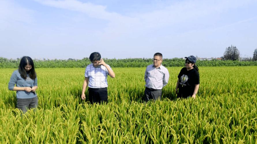 南通市农业新技术推广协会深入江苏爱佳福如 共推耕地质量修复技术落地生根